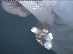 妖怪最新爆料新闻视频,神秘视频揭秘奇幻世界真相  第3张